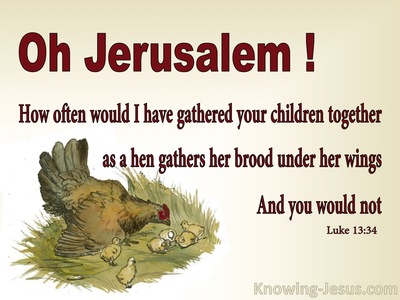 Luke 13:34